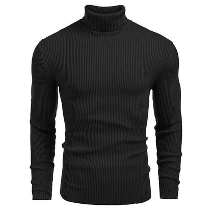 Herren Pullover Rollkragen Struktur Rippenmuster Modern