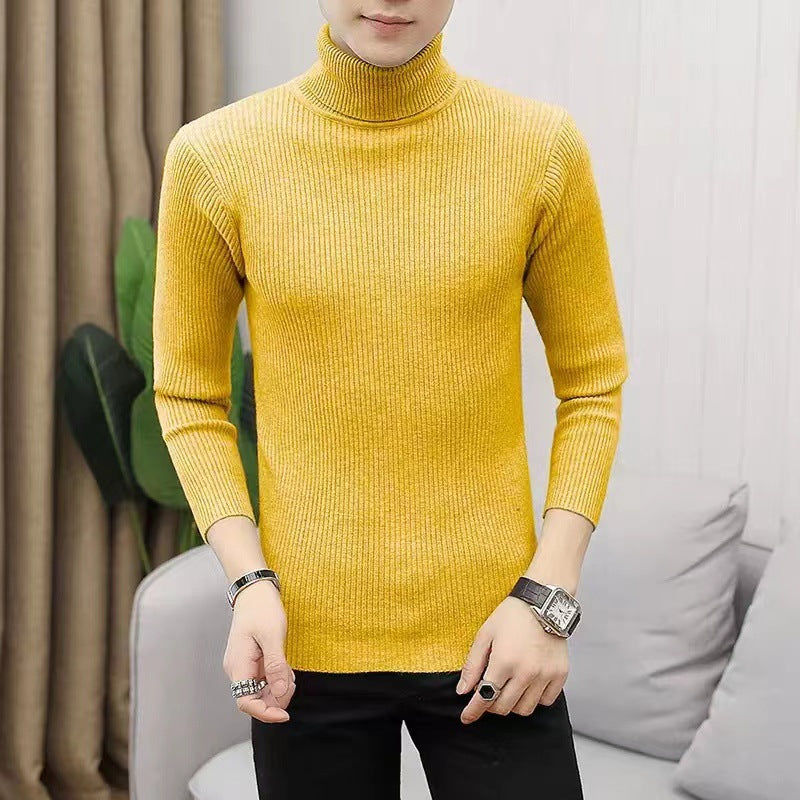 Herren Pullover Stehkragen Ribbelstrick Modern