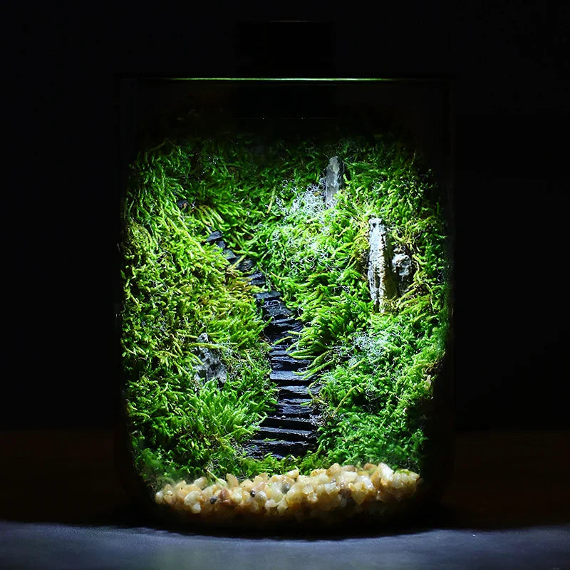 Mini Terrarium Dekovase Holz Modern
