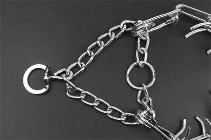 Hundehalsband Pincher Stil Modern Schwarz