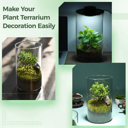 Mini Terrarium Dekovase Holz Modern