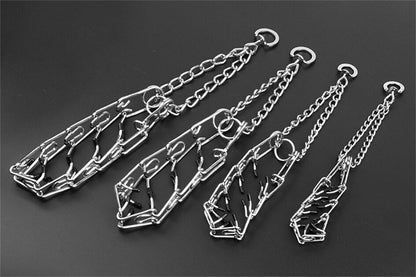 Hundehalsband Pincher Stil Modern Schwarz