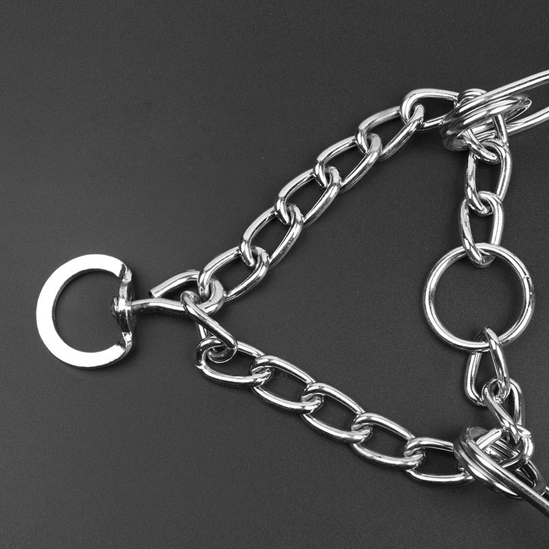 Hundehalsband Pincher Stil Modern Schwarz