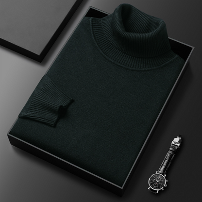 Herren Rollkragenpullover Lässig Frühjahr Bequem