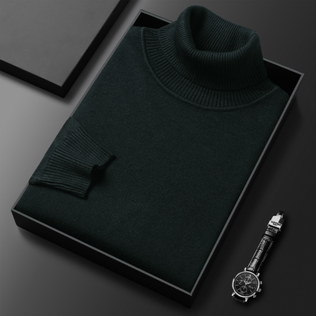 Herren Rollkragenpullover Lässig Frühjahr Bequem