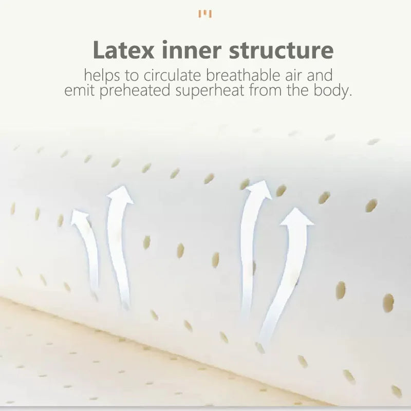 Rückenpolster Bequem Lesekissen Latex Waschbar Modern