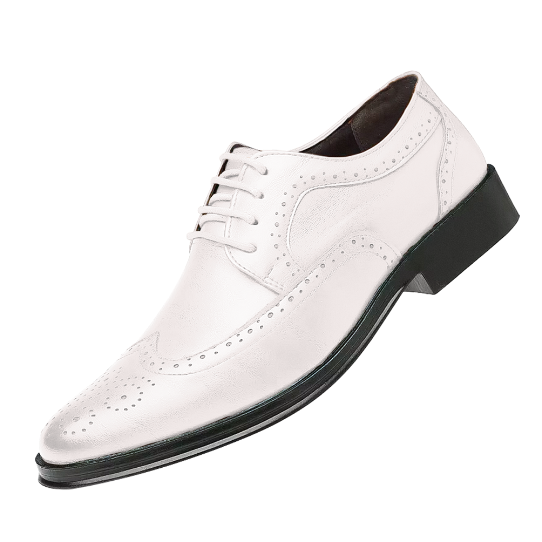 Herren Business Schuhe Elegante Lederschuhe
