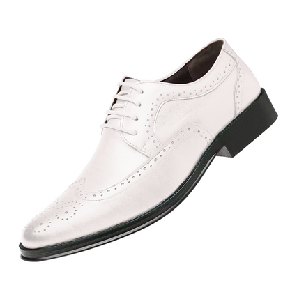 Herren Business Schuhe Elegante Lederschuhe