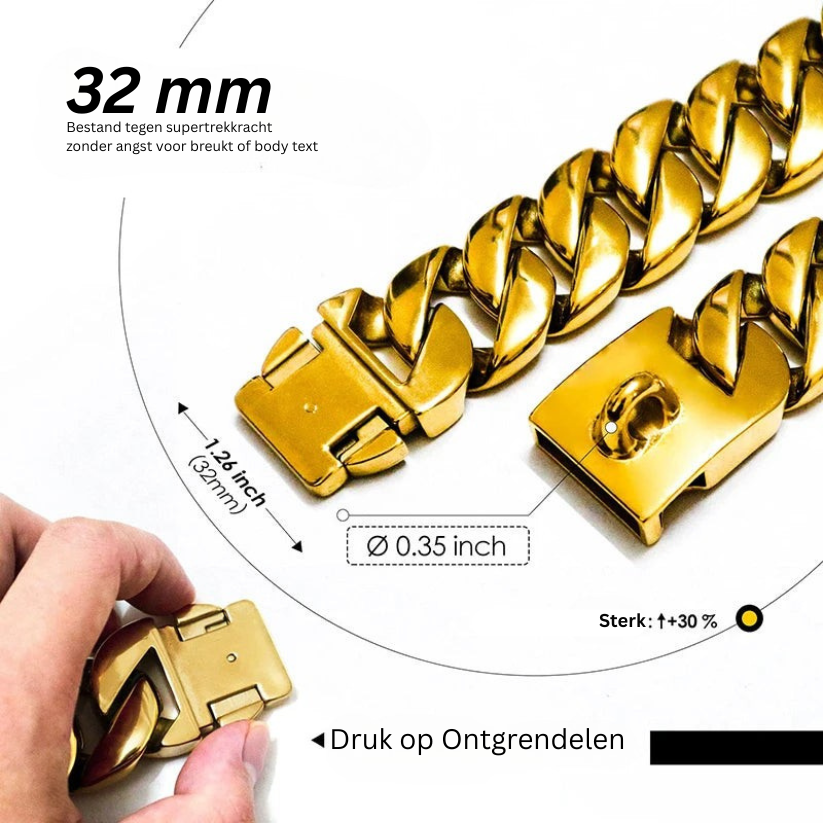 Edelstahl Halsband Robust für große Hunde - BerlinGlamour