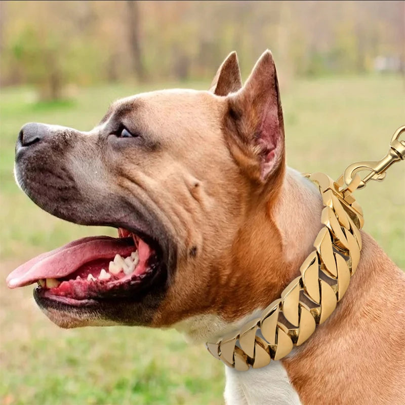 Edelstahl Halsband Robust für große Hunde