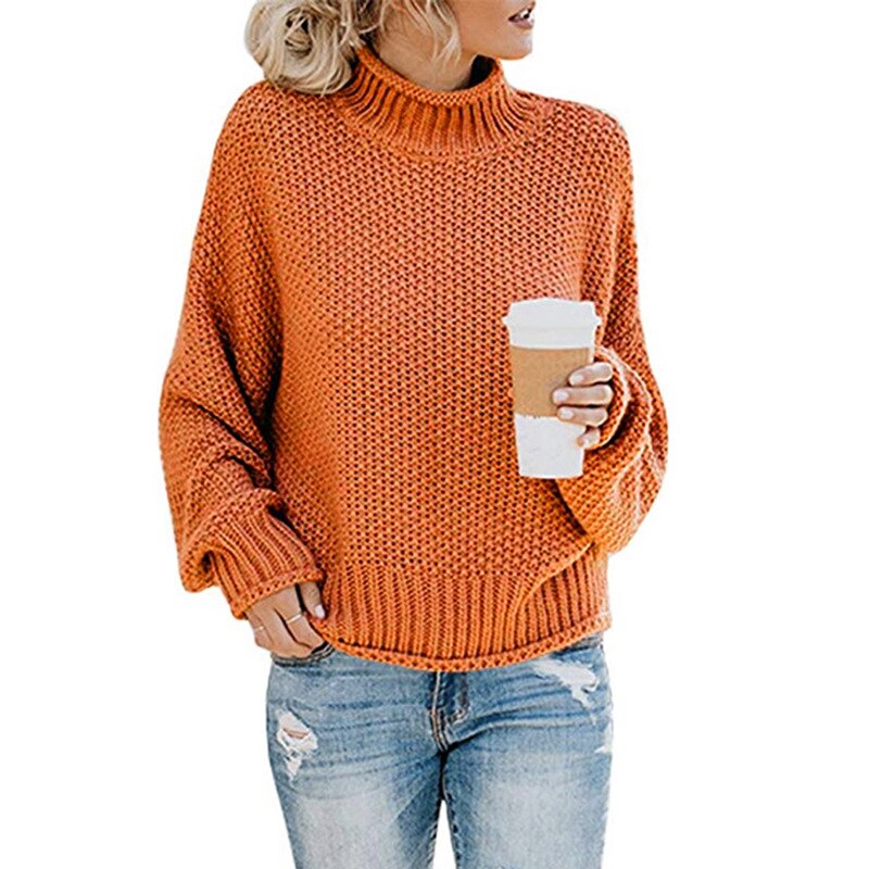 Stilvoller Rollkragenpullover für kalte Tage (Jule)