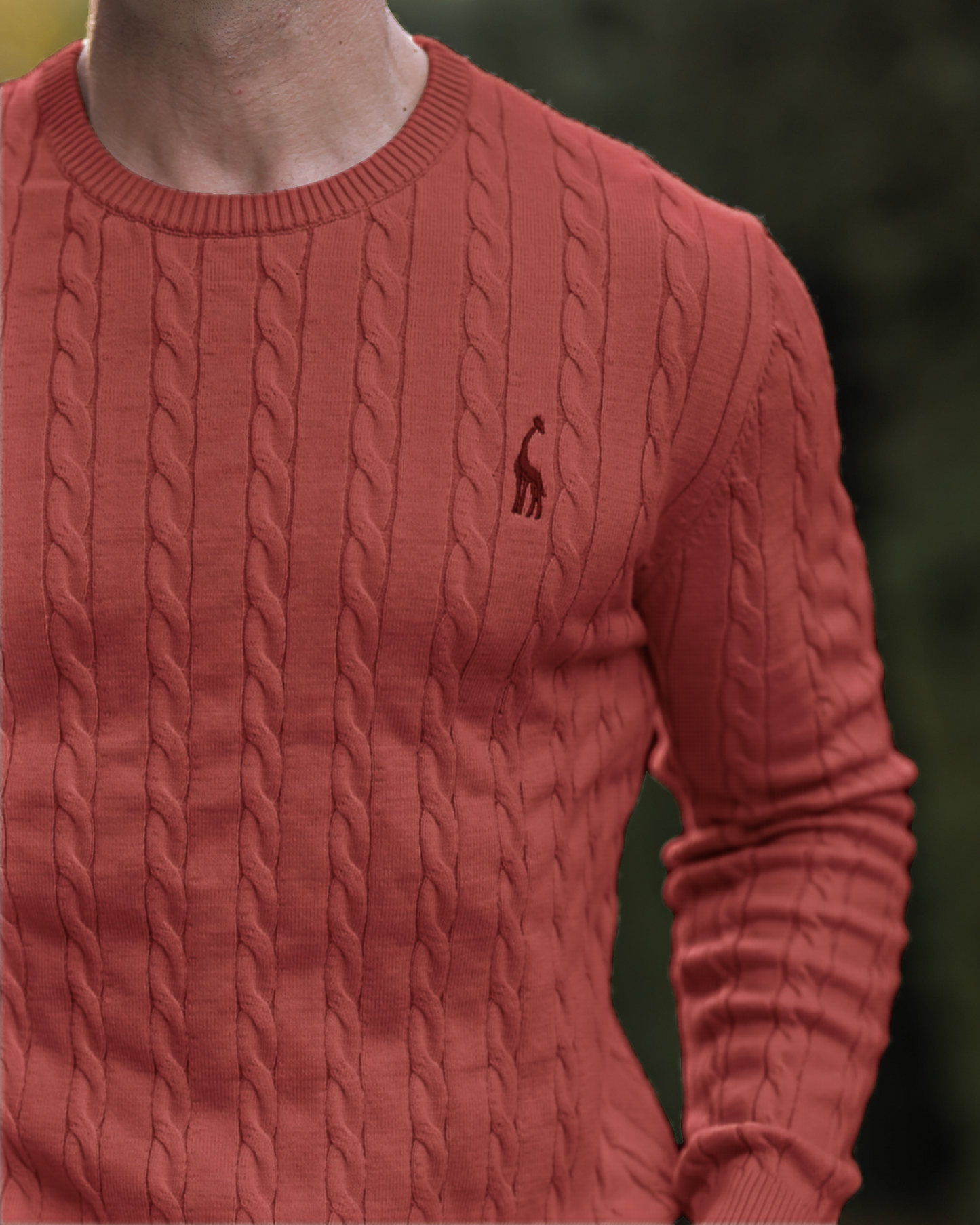 Herren Strickpullover Zopfmuster Baumwolle Bequem