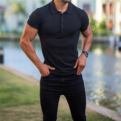 Männer Poloshirt Baumwolle Klassisch Elegант