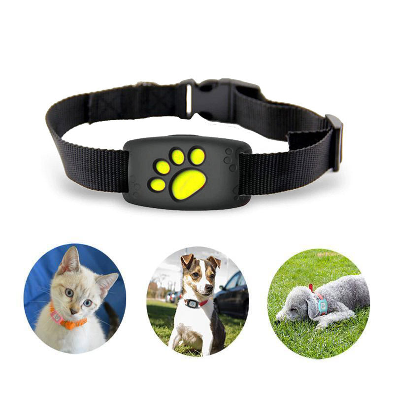 Katzenhalsband GPS Wasserfest Schlank