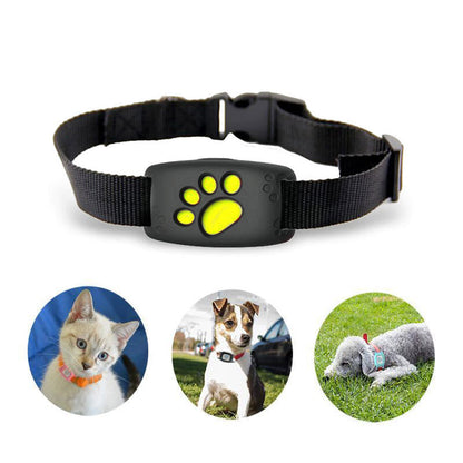 Katzenhalsband GPS Wasserfest Schlank