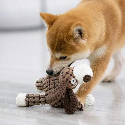 Hundespielzeug Plüsch Quietscher