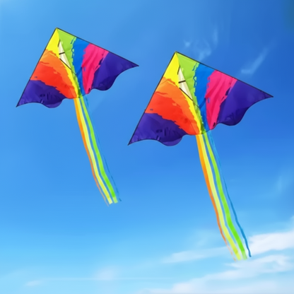 Bunter Drachen Longtail Regenbogen Outdoor Spielzeug