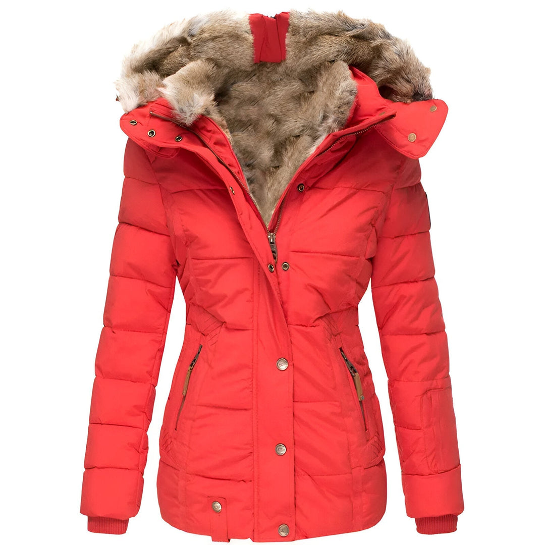 Damen Winterjacke Taillierte Kapuze Warm