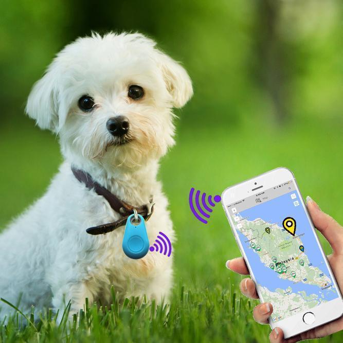 Haustier Tracker GPS Wasserfest Kleiner