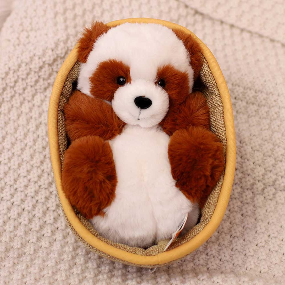 Niedlicher Panda Plüsch Teddy im Korb Süß