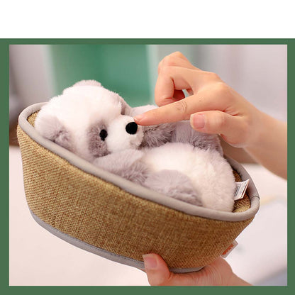 Niedlicher Panda Plüsch Teddy im Korb Süß