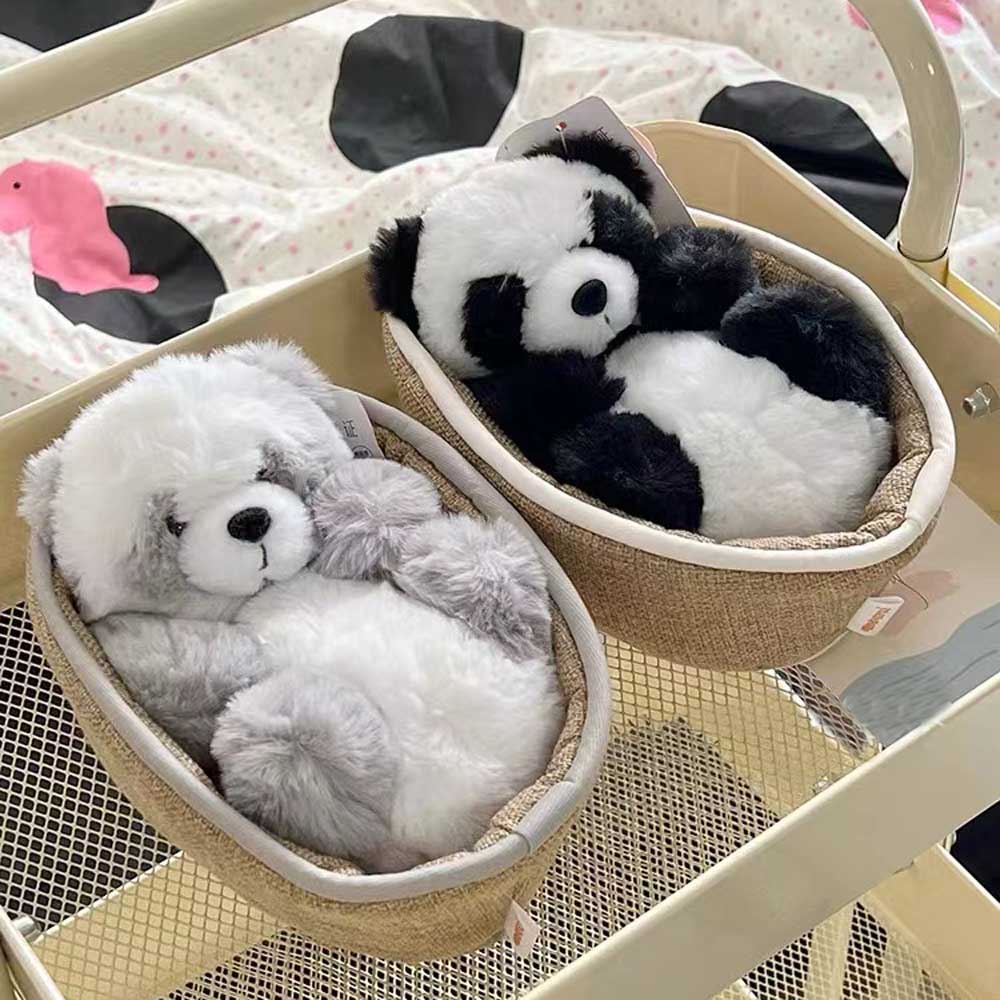 Niedlicher Panda Plüsch Teddy im Korb Süß