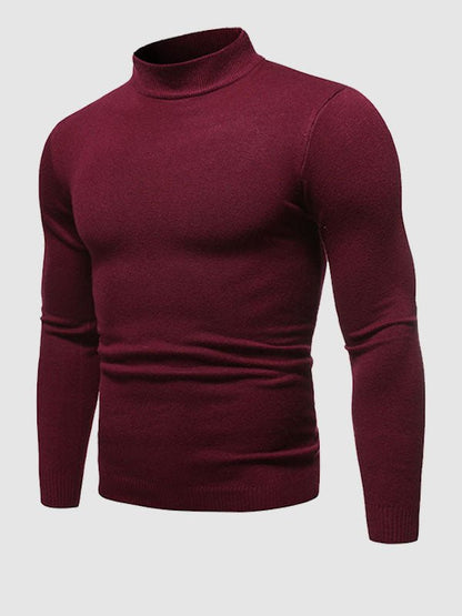 Herren Rollkragenpullover Slim Fit Frühlingslook Modern