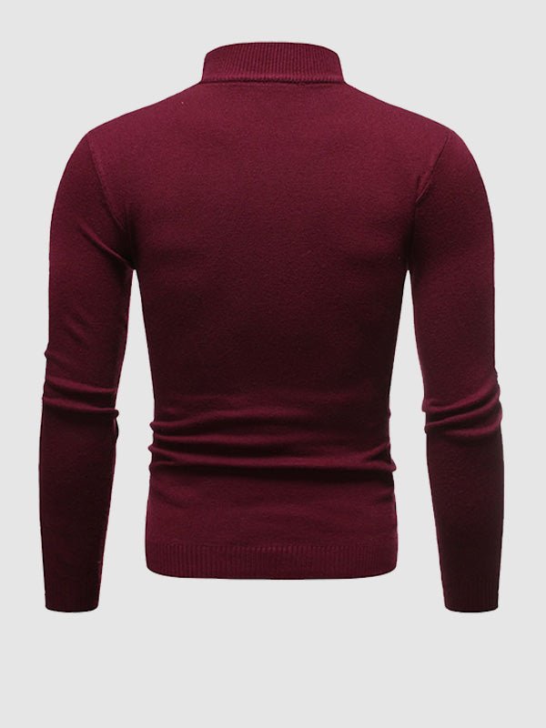Herren Rollkragenpullover Slim Fit Frühlingslook Modern