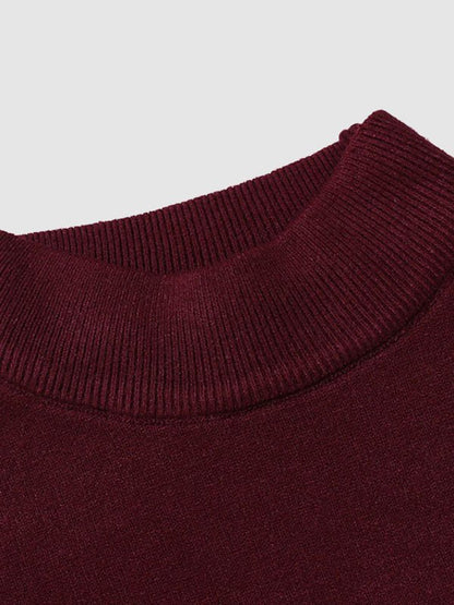 Herren Rollkragenpullover Slim Fit Frühlingslook Modern