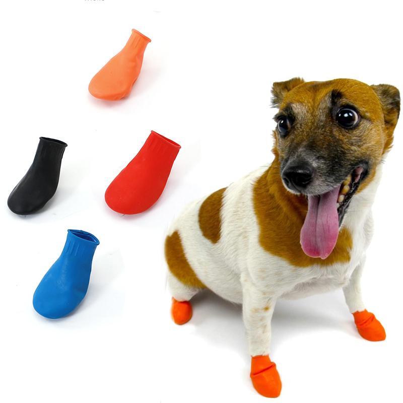 Hundeschuhe Wasserdicht mit Grip und Komfort Schutz - BerlinGlamour