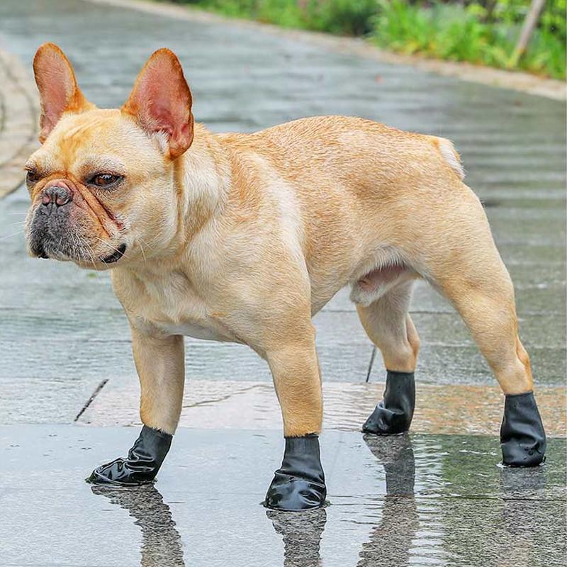 Hundeschuhe Wasserdicht mit Grip und Komfort Schutz
