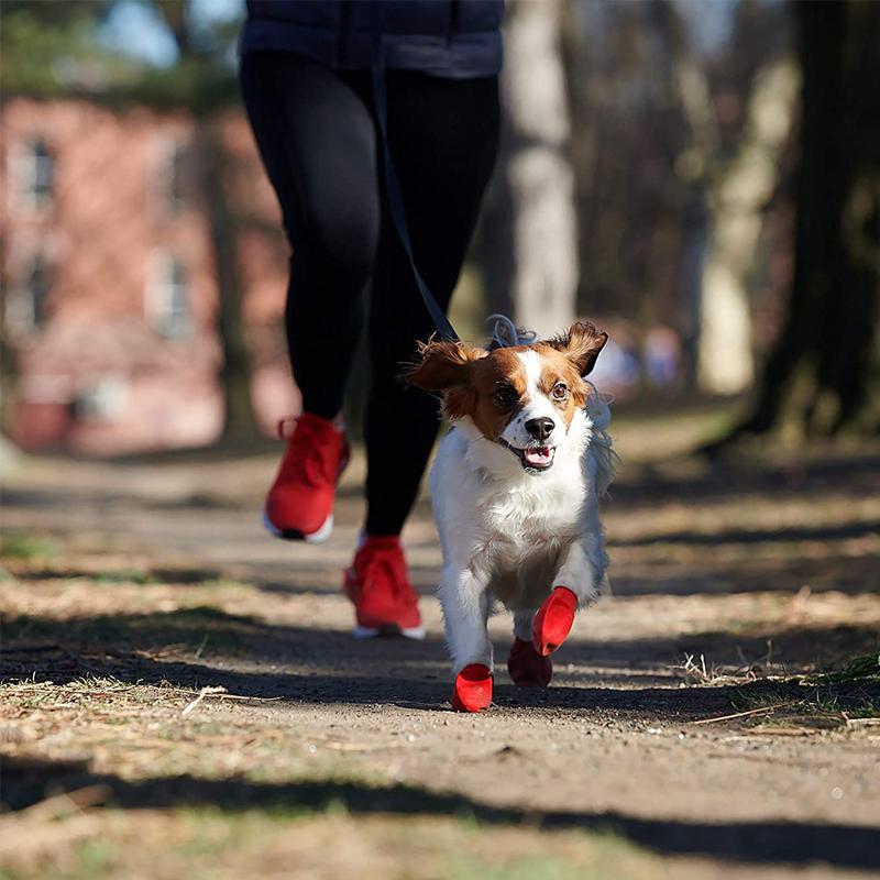 Hundeschuhe Wasserdicht mit Grip und Komfort Schutz