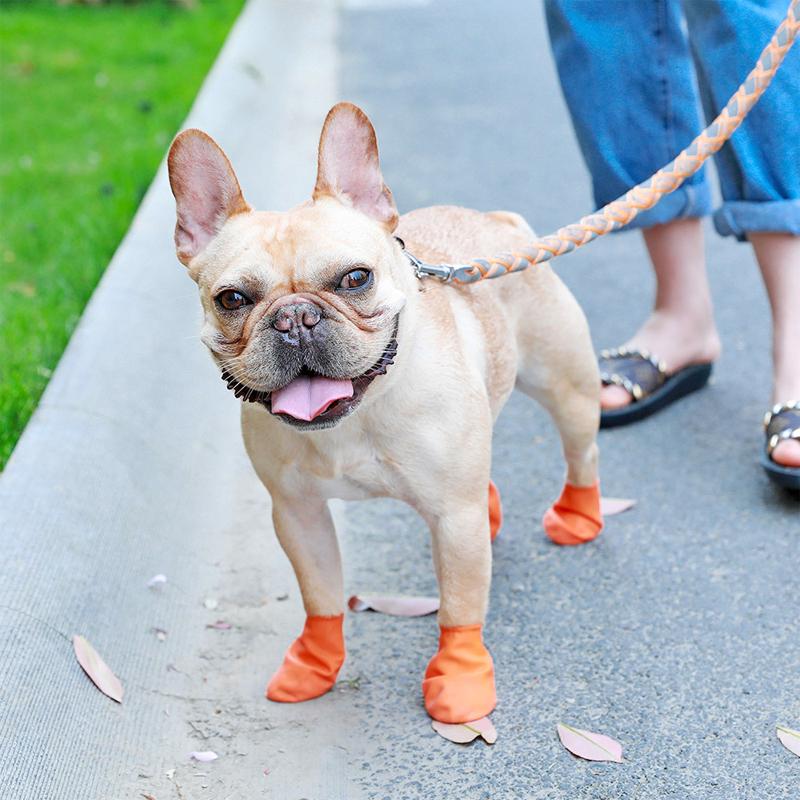 Hundeschuhe Wasserdicht mit Grip und Komfort Schutz