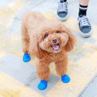 Hundeschuhe Wasserdicht mit Grip und Komfort Schutz
