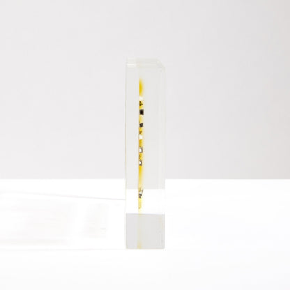 Periodensystem Tafel Echte Elemente Dekoration