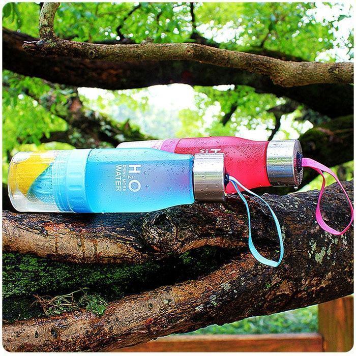 Wasserflasche mit Frucht-Infuser Durchsichtig