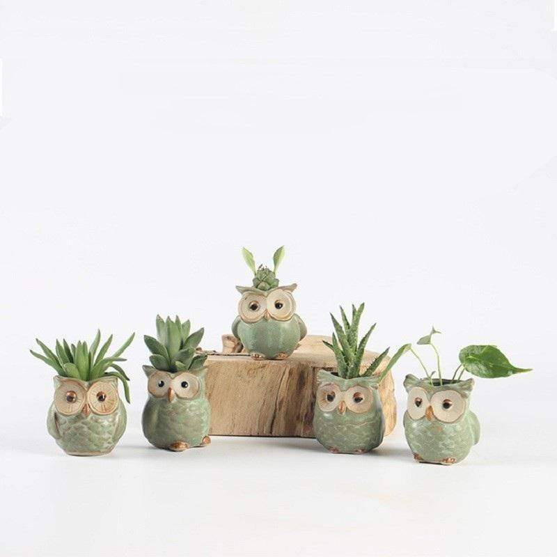 Eulen Keramik Blumentopf Set 5-teilig Dekorativ